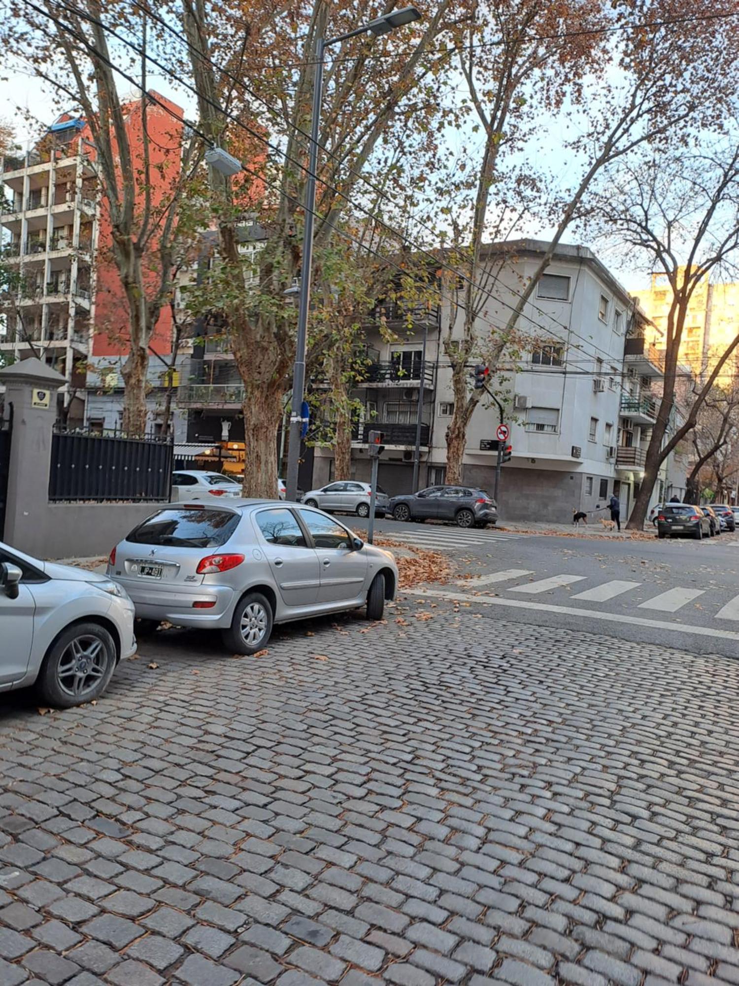 Apartment Valentine Palermo, Charming Two Bedroom Apartment, Near The Metro Buenos Aires